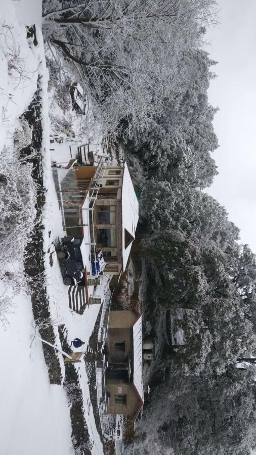 Simba Cafe & Lodge Binsar Bagian luar foto